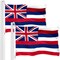 Hawaii HI State Flag 3x5 Ft 2-Pack 150D Printed Polyester By G128